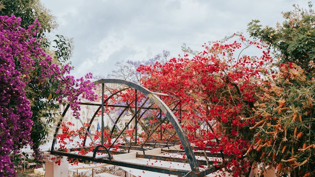 Colorful blooming flowers adorn a decorative patio structure in an outdoor restaurant setting.