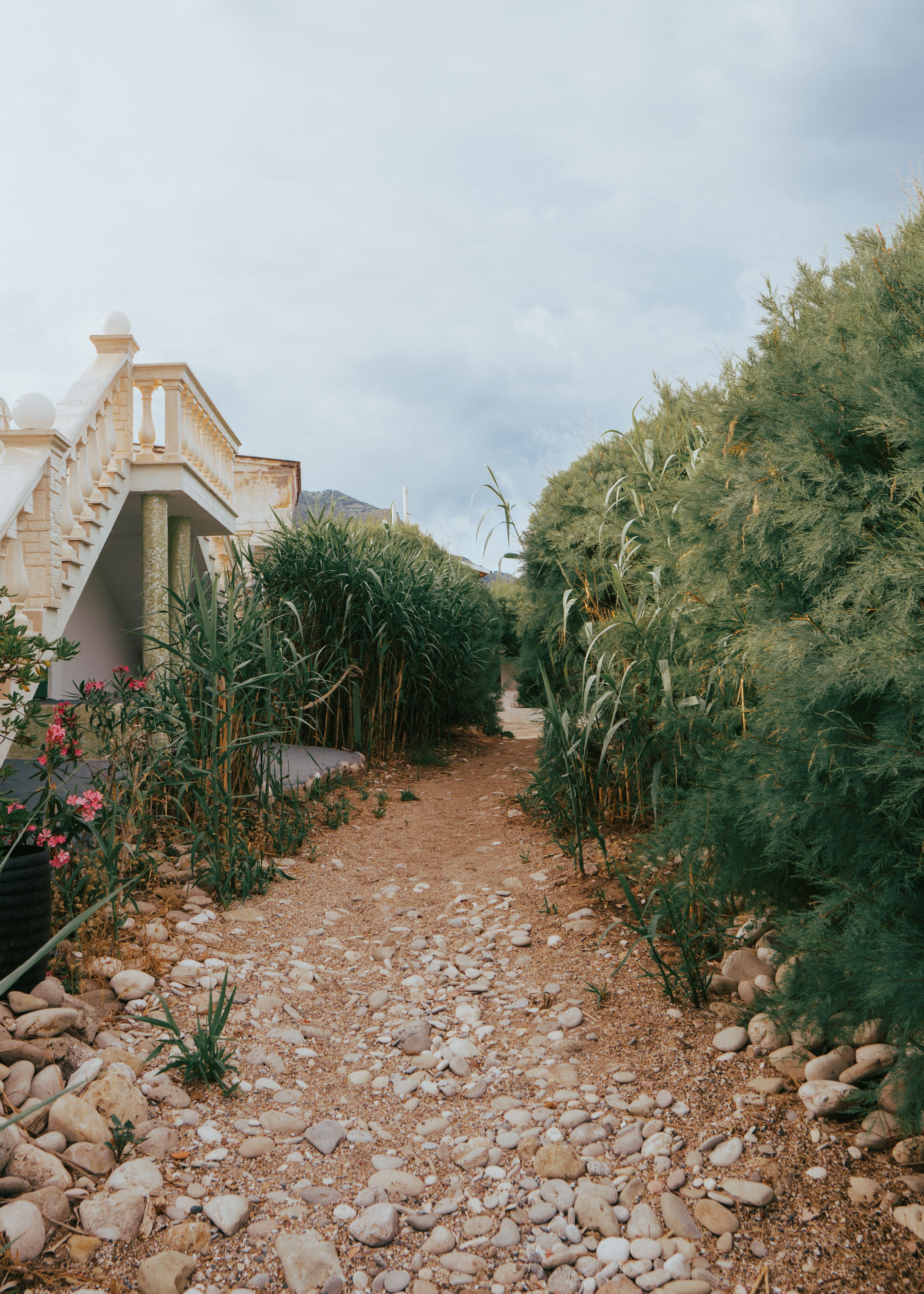 A Footpath between a House and Bushes · Free Stock Photo
