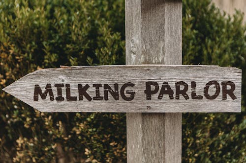 Milking Parlor Arrow