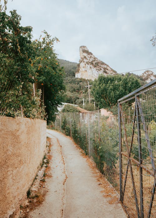 View of a Road in the Countryside with View of Mountains and Trees