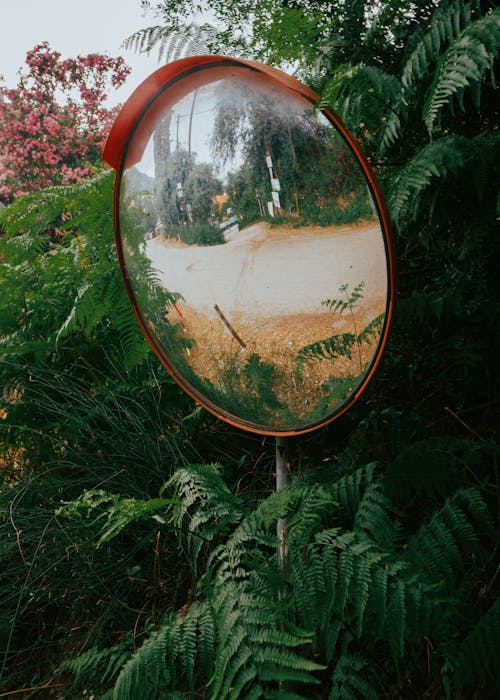 Close-up of a Traffic Mirror between Green Leaves 