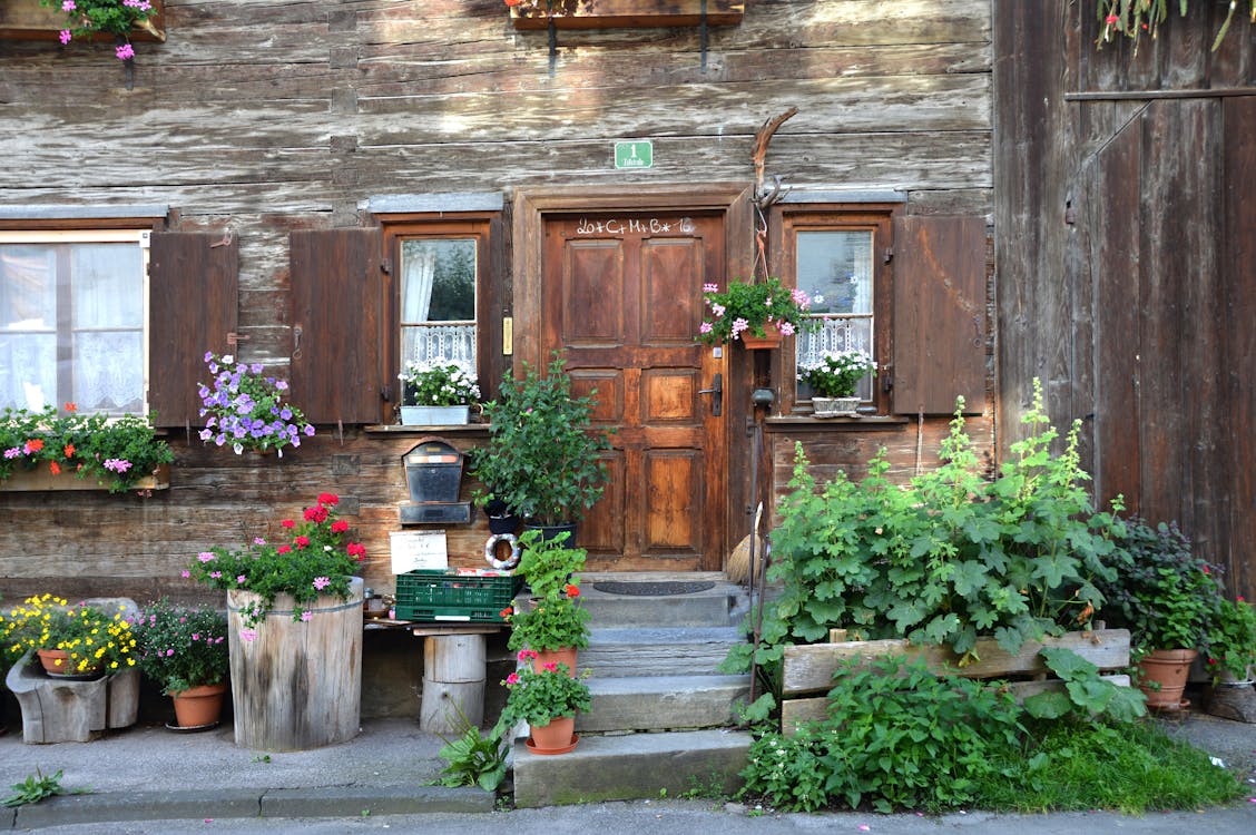 무료 집 밖에 서 녹색 식물 근처 갈색 나무로되는 문 스톡 사진