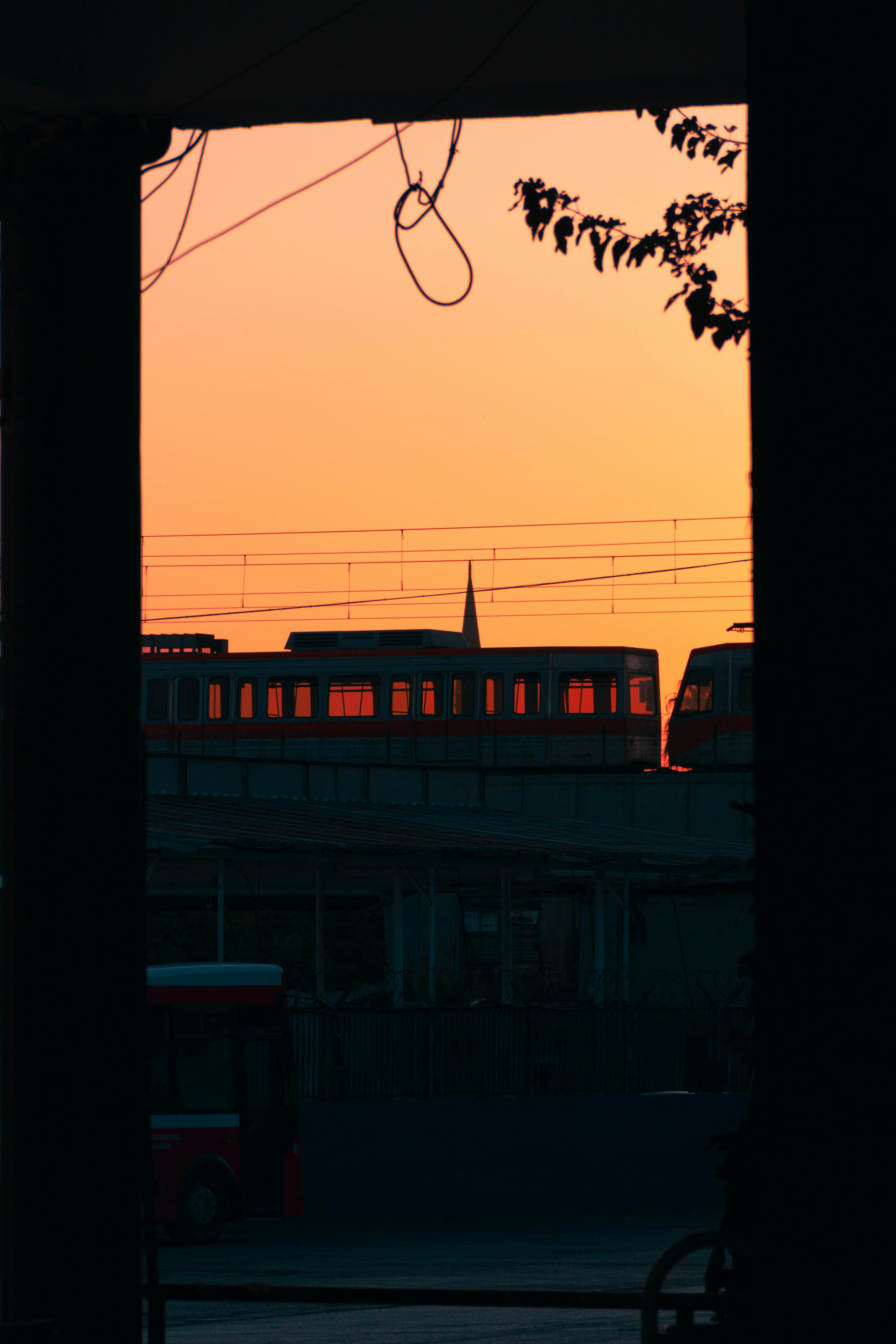 pexels-photo-15986943.jpeg