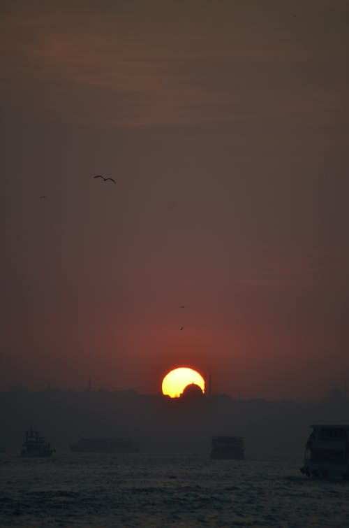 Foto d'estoc gratuïta de bonic capvespre, posta de sol daurada, sobre el mar