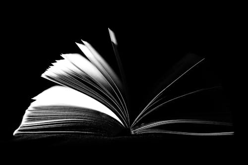 Free Low Light Photo of Opened Book Stock Photo