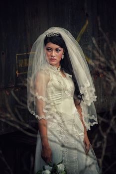 A beautiful bride in a traditional wedding dress and veil, captured outdoors with a moody aesthetic.