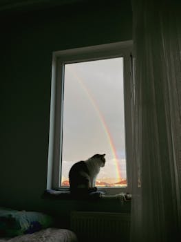 A cat sitting on a windowsill gazes at a vibrant rainbow outside, creating a serene indoor setting.