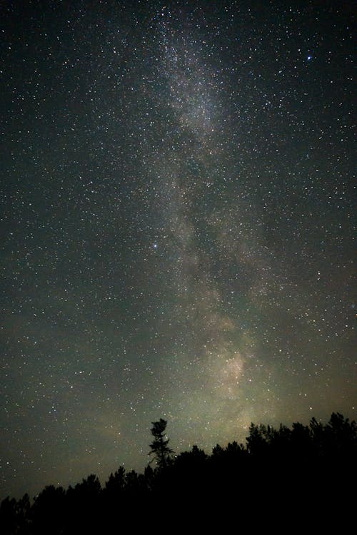 Бесплатное стоковое фото с galaxy, вертикальный выстрел, деревья