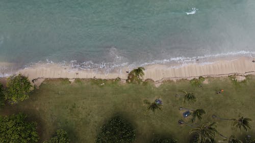 Birds Eye View of Sea Shore 