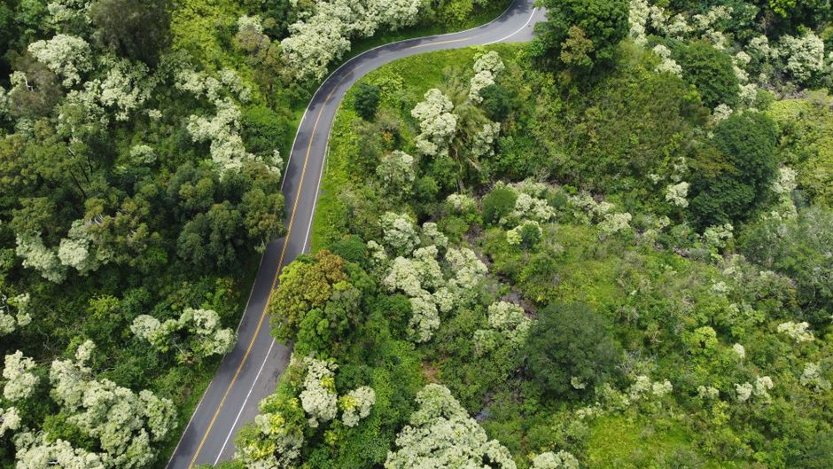 Photo by Jason Sherrod Aerial view of a winding road through lush green foliage in Haiku-Pauwela, Hawaii.