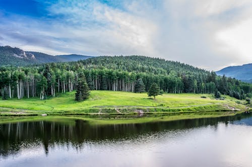 Cuerpo De Agua Junto A árboles De Hojas Verdes Bajo Un Cielo Nublado Azul