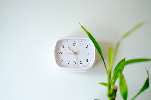 A white clock on a white wall next to a plant