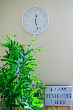 A modern home office setup featuring a wall clock and vibrant green plant.