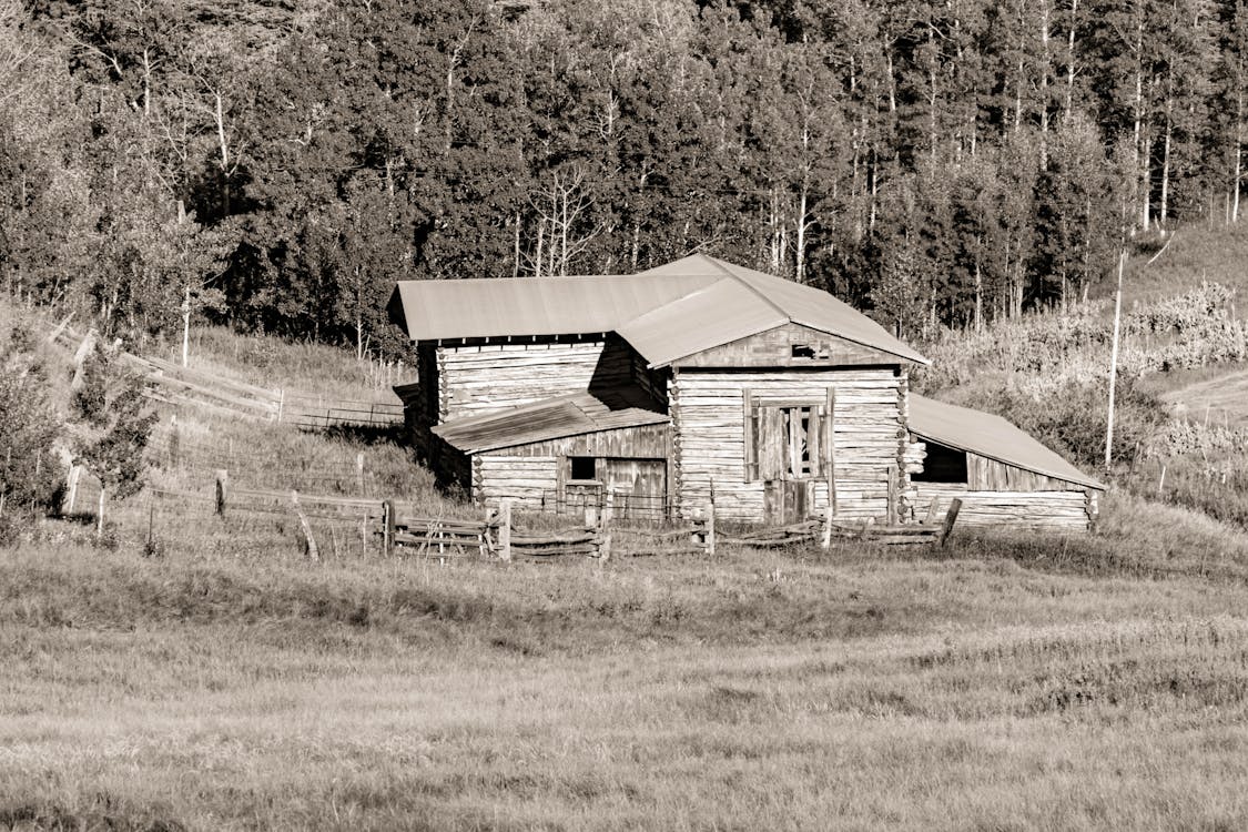 бесплатная Фотография дома рядом с деревьями в оттенках серого Стоковое фото