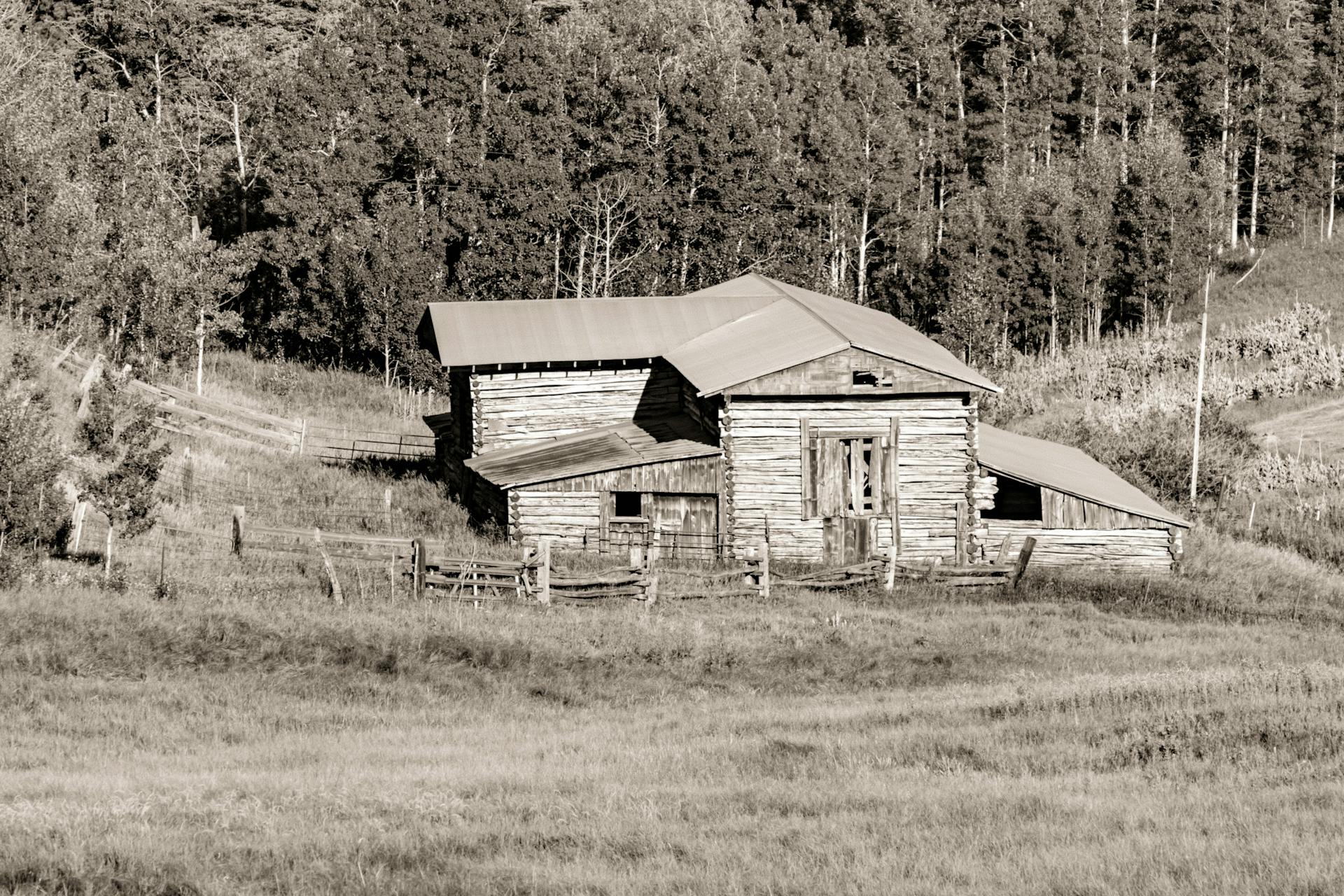 Sepia-toned image of a rustic abandoned farmhouse surrounded by trees and grass in a rural setting.