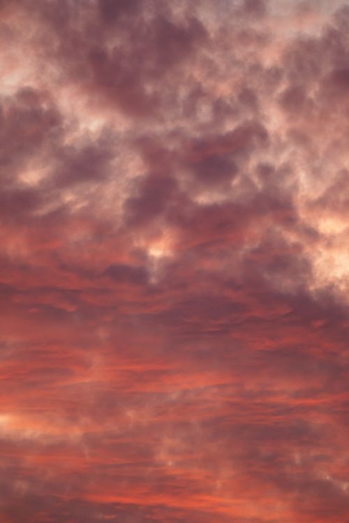 Free Bright red and orange clouds at sunset create a dramatic sky scene. Stock Photo