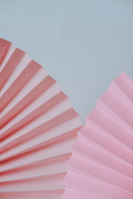 Artistic close-up of pink paper fans against a pastel background.