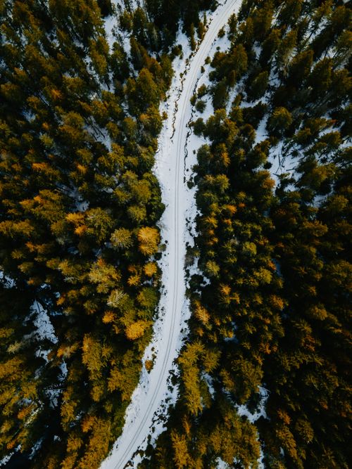 Free A breathtaking aerial shot of a snow-covered forest road winding through conifers in Squamish, BC, Canada. Stock Photo
