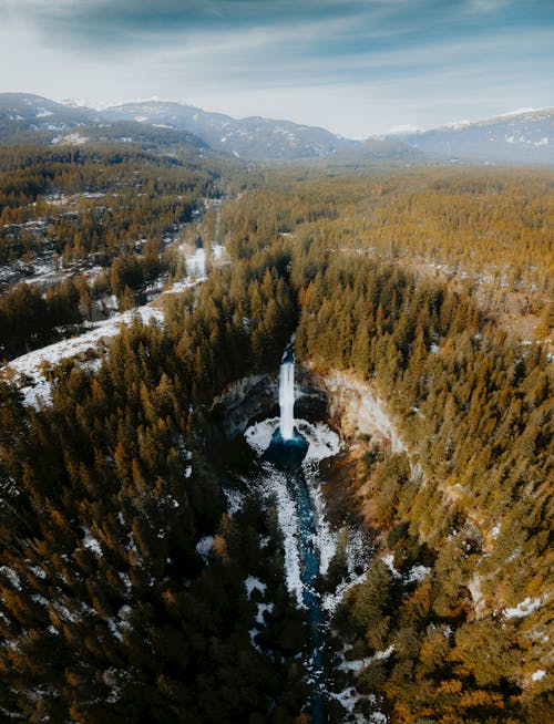 Základová fotografie zdarma na téma krajina, les, letecká fotografie