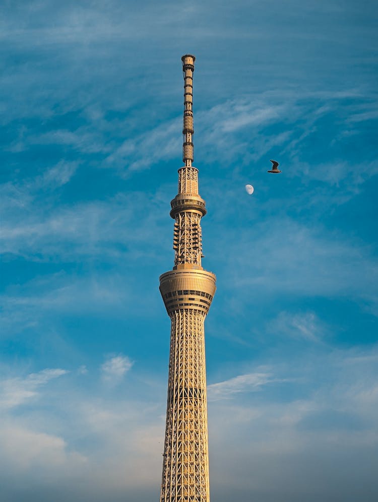 A Tower In Tokyo