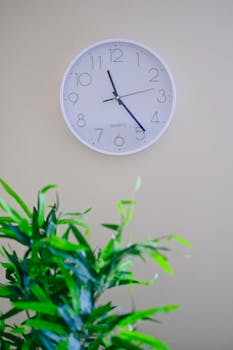 A minimalist wall clock above lush green indoor plants in a tranquil setting.