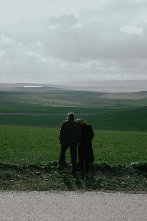 Free Elderly couple standing together in a foggy valley, enjoying the vast green landscape view. Stock Photo
