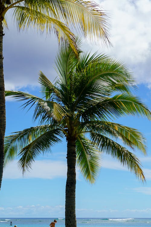 Ảnh lưu trữ miễn phí về bầu trời tươi đẹp, blueskies, du lịch