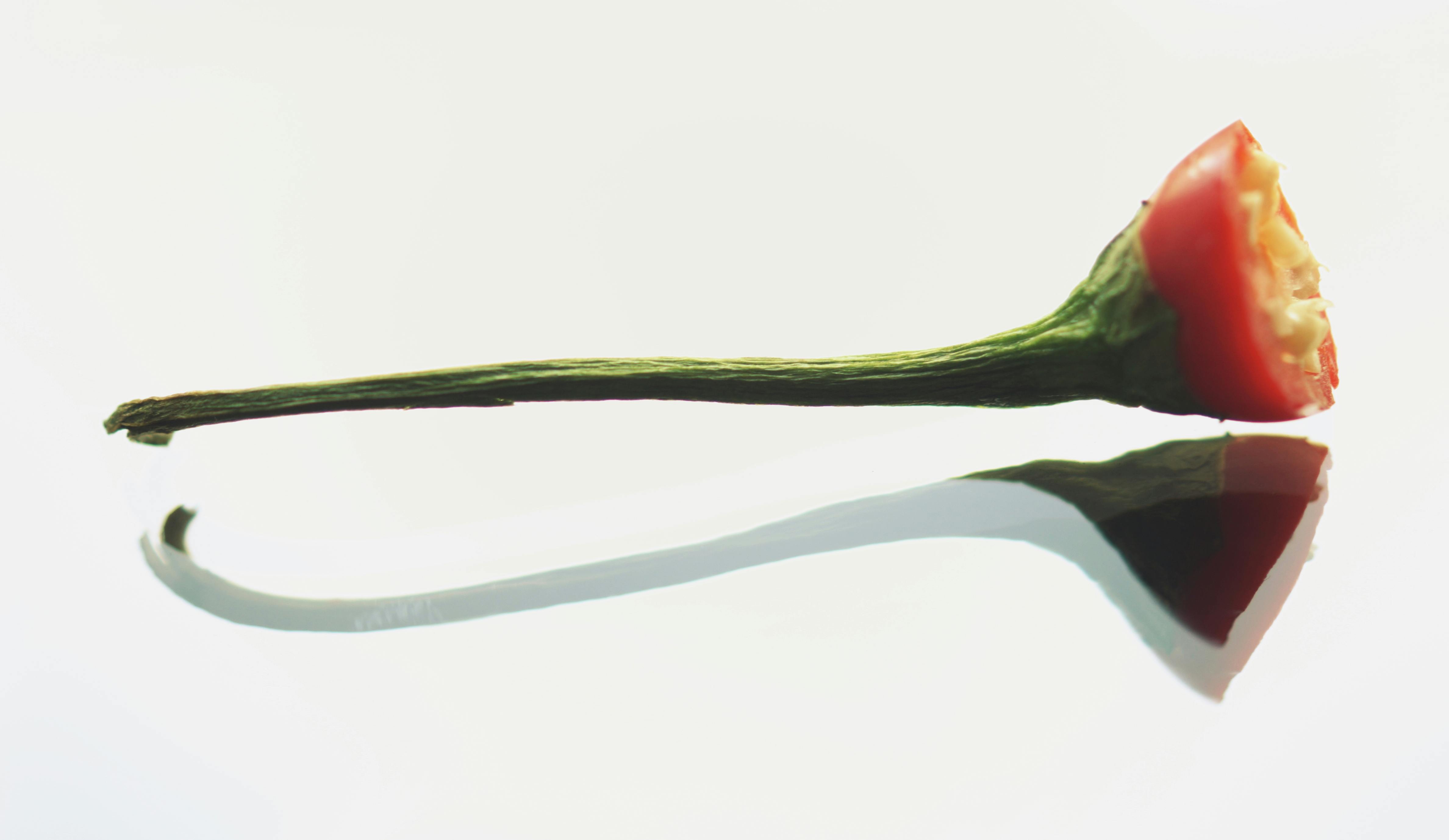 Cricket ball resting on a pitch