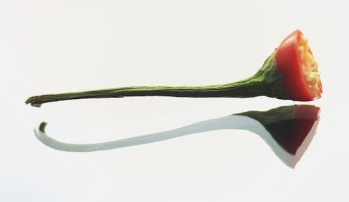 Darmowe zdjęcie z galerii z chilli, odbicie lustrzane