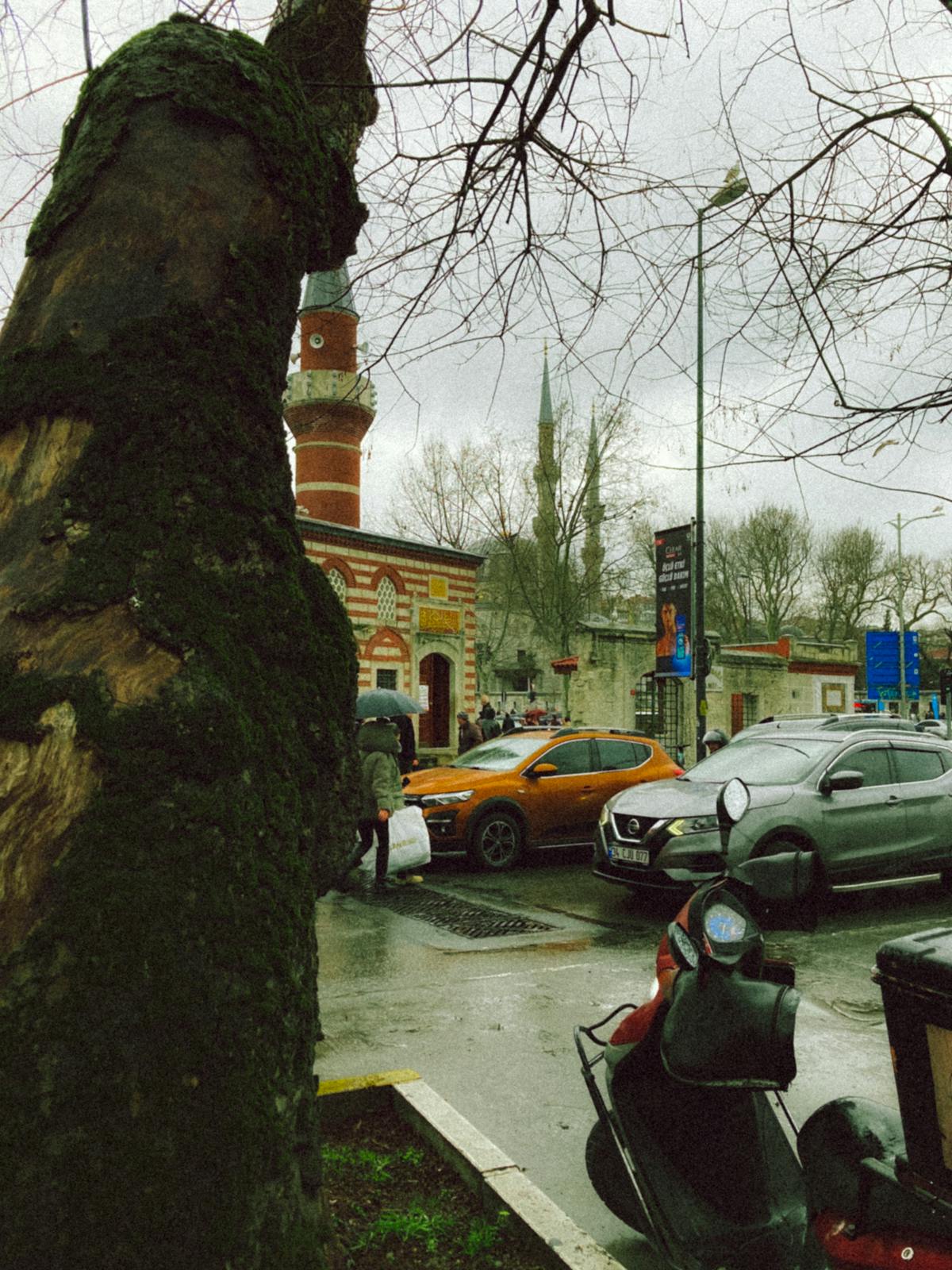 Spin bowler delivering the ball in a cricket match