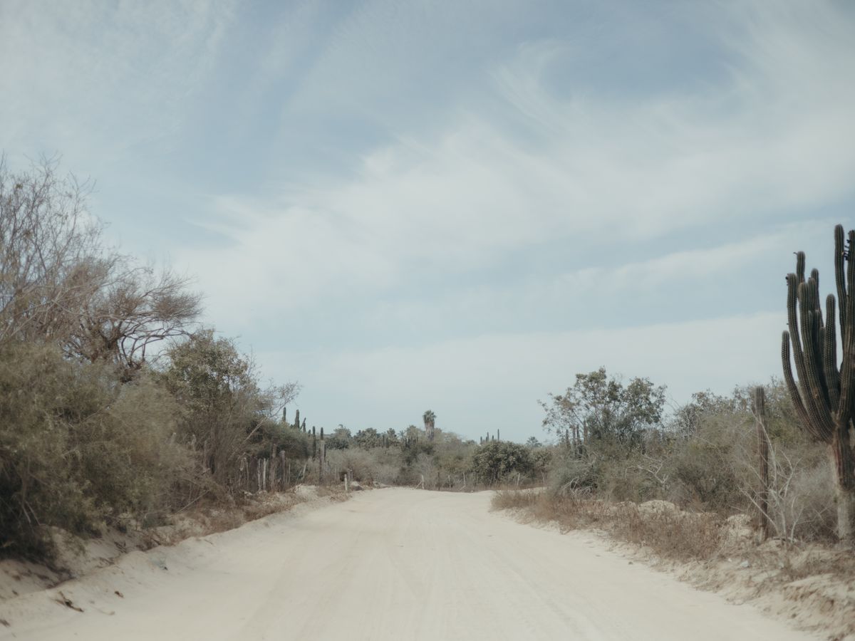 8 Day Invigorating Personal Yoga Retreat in Tulum, Mexico 1