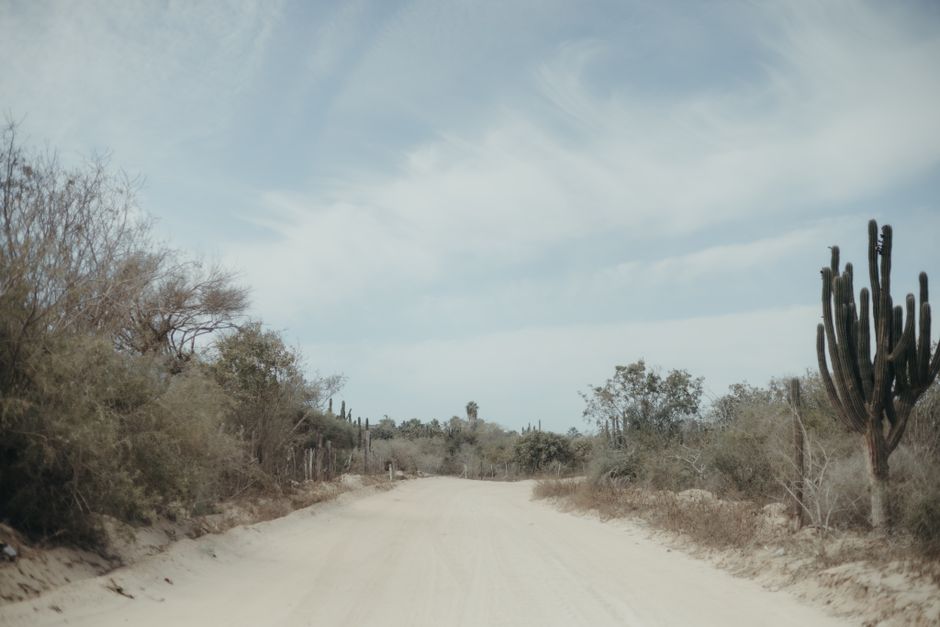 Amazing Jungle ATV Adventure: Unveiling Akumal's Enchanting Cenotes Review 2026 - A sandy desert road with cacti in San Juan del Rancho, BCS, Mexico under a clear sky.
