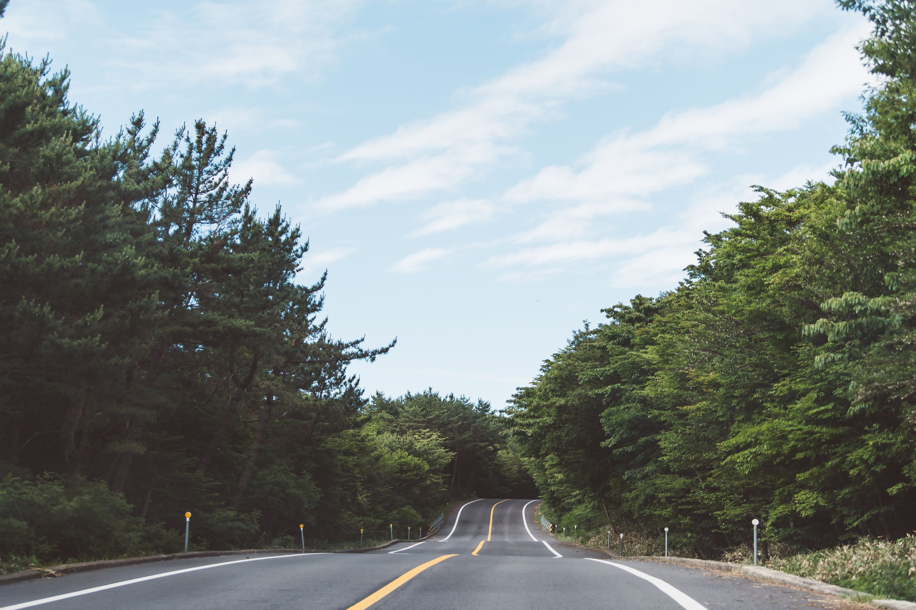 The Road Trip Revolution: Why Millions Are Ditching Flights For The Open Road RIGHT NOW