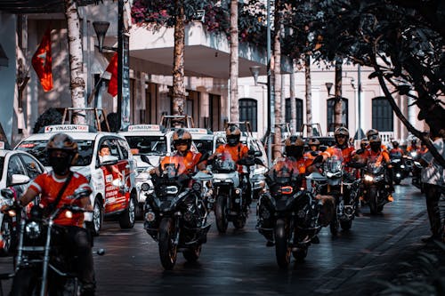 Bikes and Cars on a City Street 