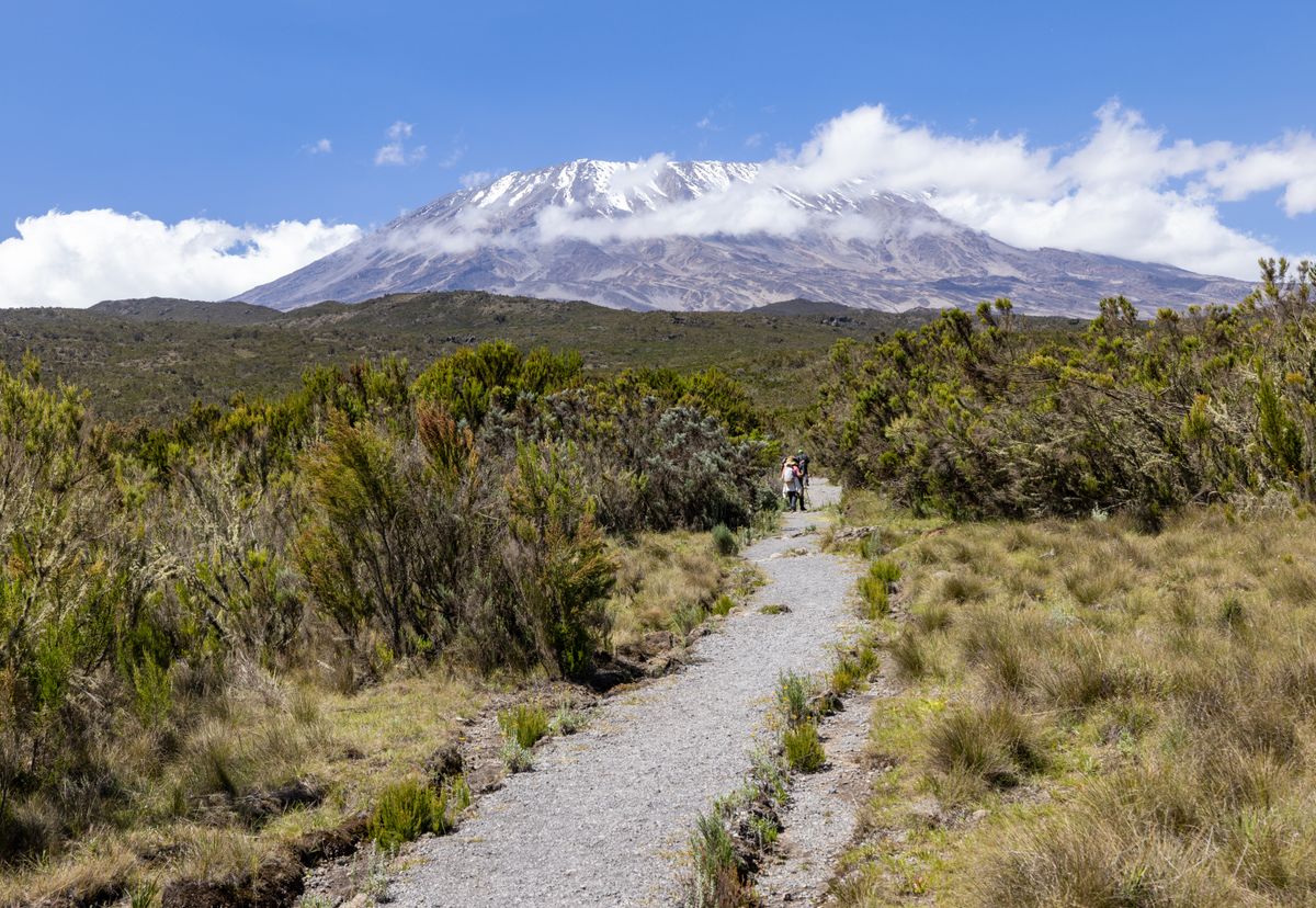 Kilimanjaro