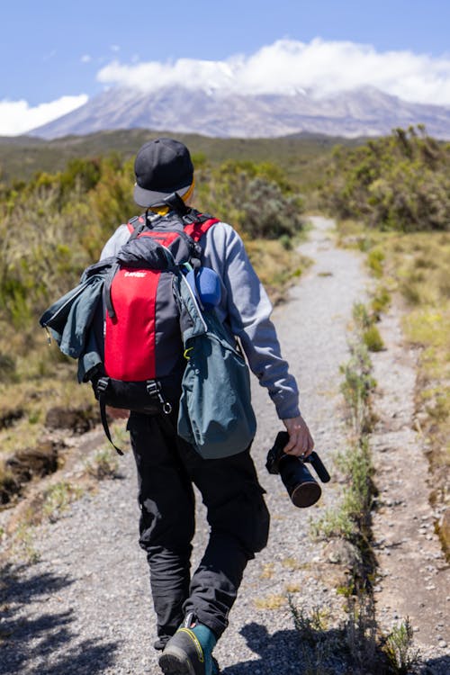 Gratis stockfoto met achteraanzicht, attractie, backpack