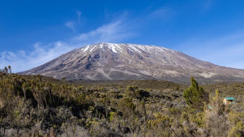 A View of Kilimanjaro