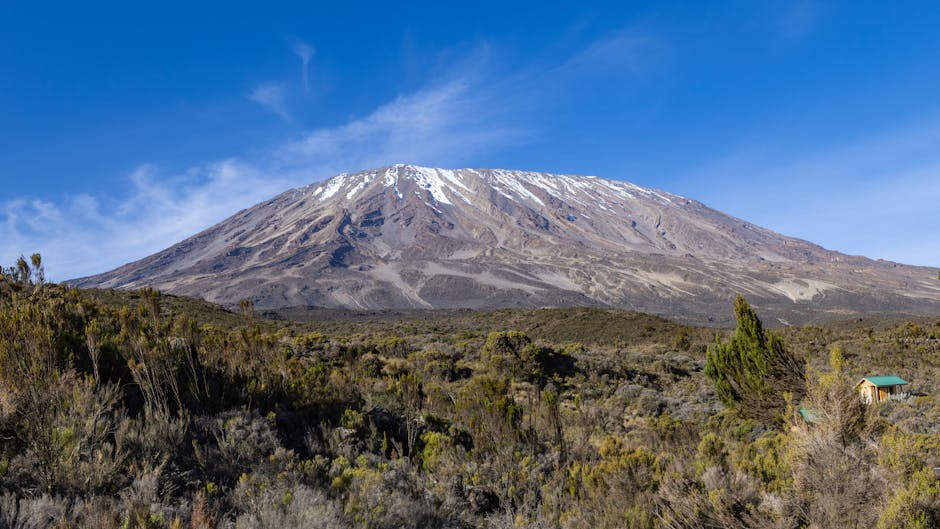 Kilimanjaro - kilimanjaro mountain