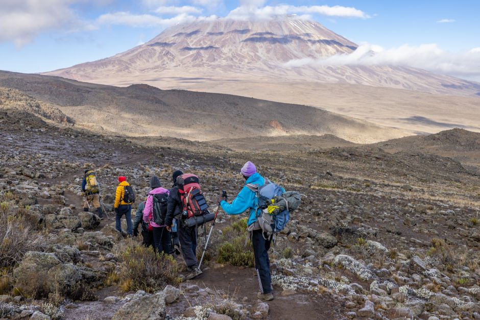 kilimanjaro day trip kilimanjaro day trip
