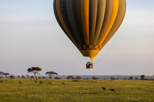Hot-air balloon over the Mara at dawn — Kenya Safari