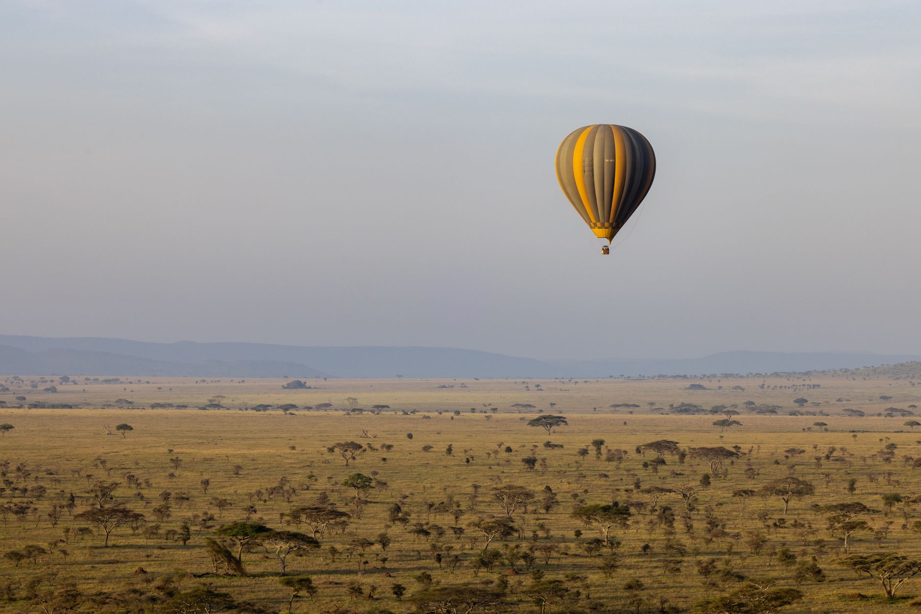 A serene view of a hot air balloon floating over the African savannah at sunrise, perfect for travel and adventure themes.