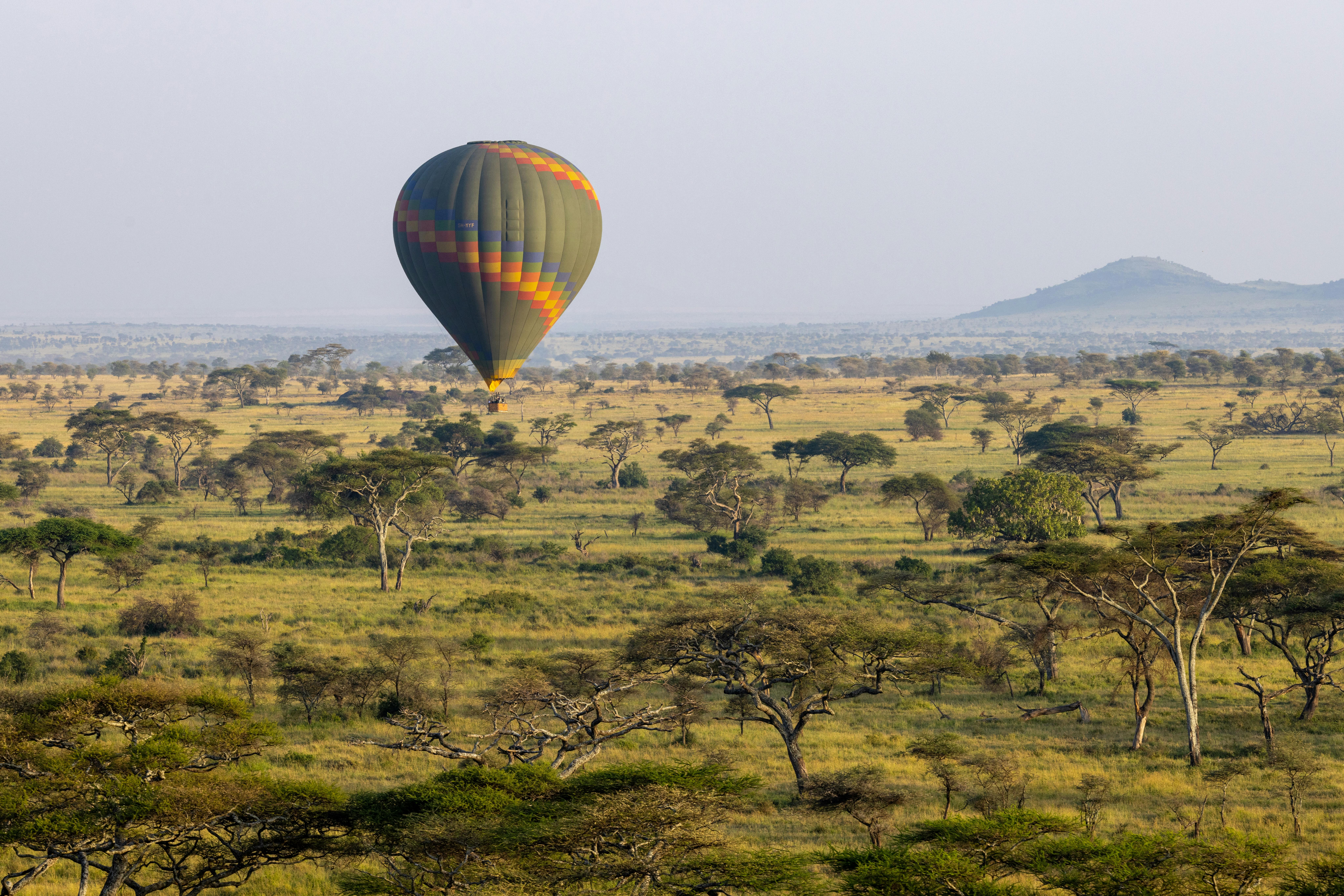 Hot Air Balloon in Savannah · Free Stock Photo
