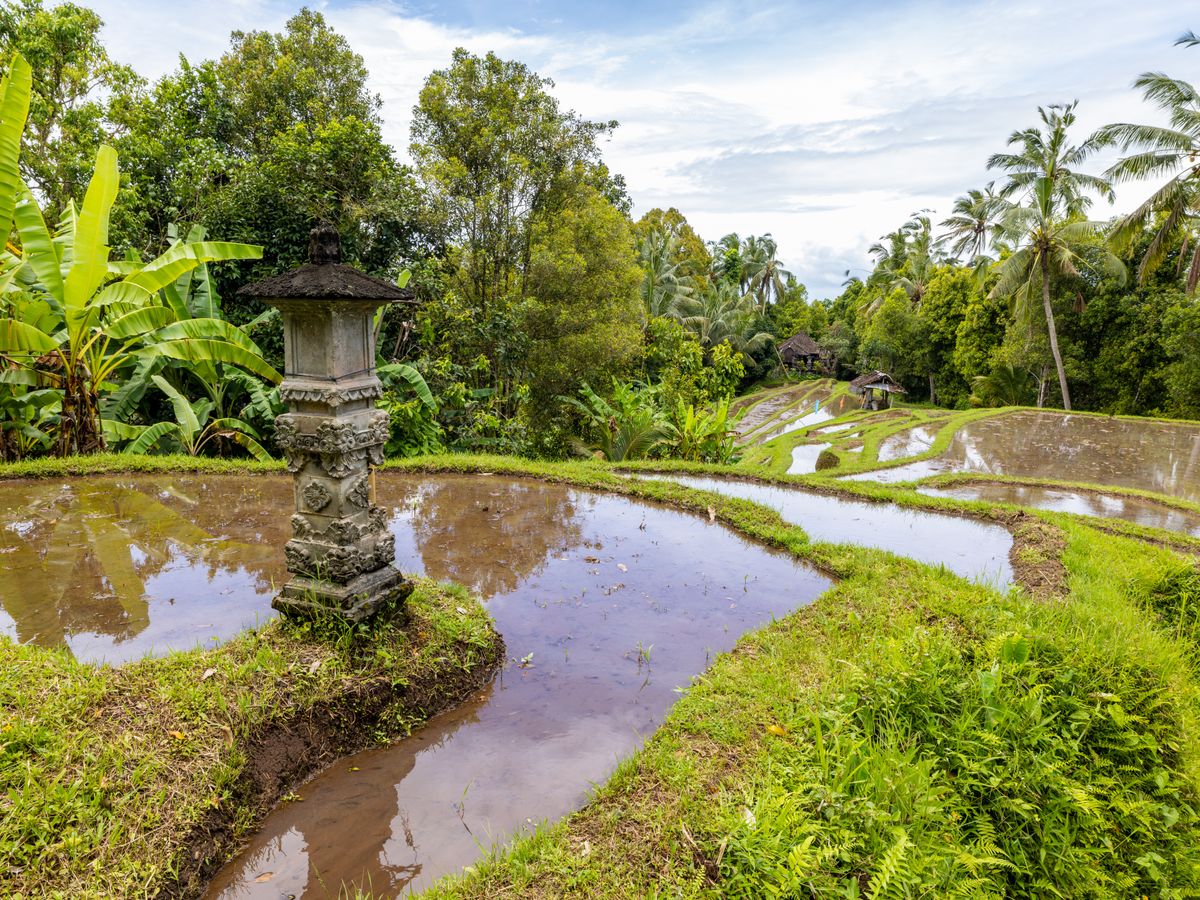 11 Day Bali Bliss Culture & Yoga Retreat in Ubud, Bali 2