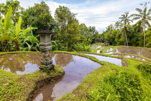 Balinese water temple blessing at dawn — Bali