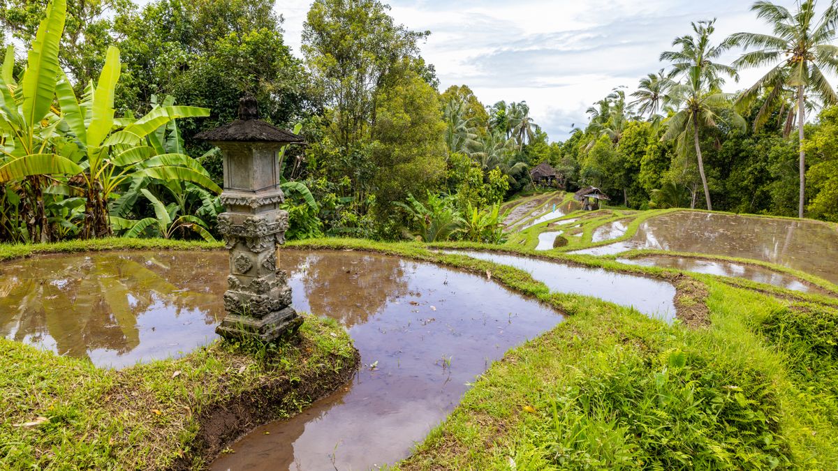 Dolu Dolu Harikalar Diyarı Bali - Ubud Turu Rotası
