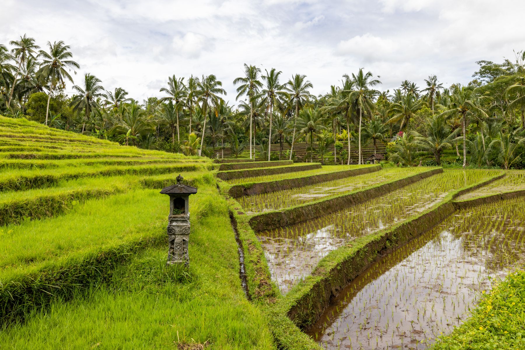 Bali traveller photo 3