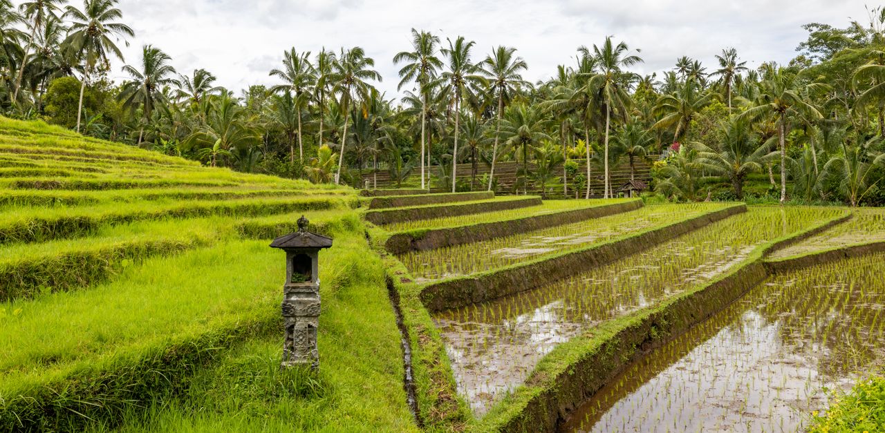 Ubud
