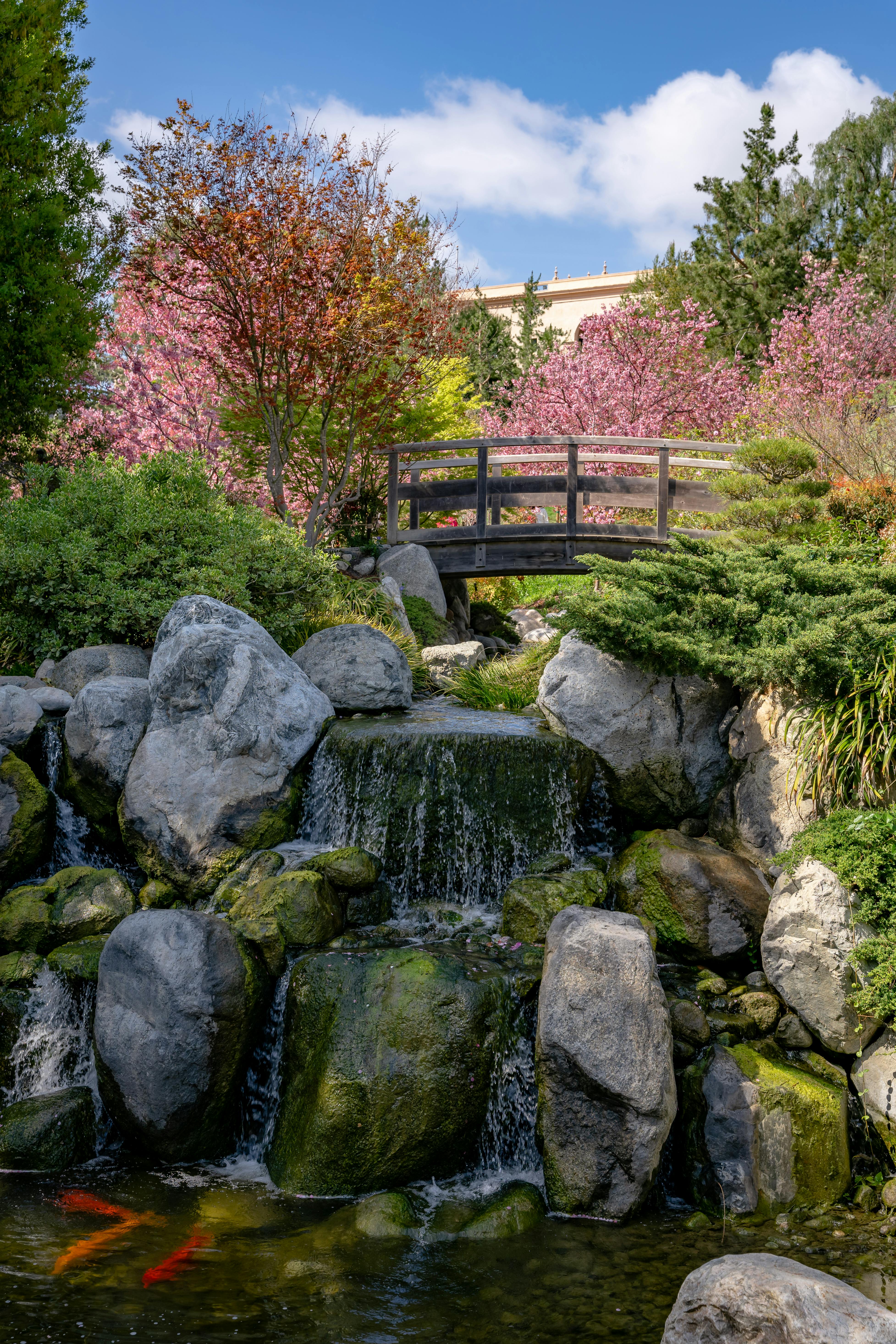 japanese friendship garden san diego