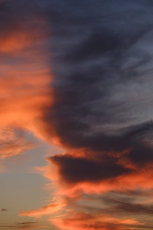 คลังภาพถ่ายฟรี ของ ทิวทัศน์เมฆ, พร่ามัว, พายุ