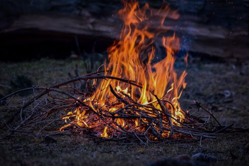 Free A captivating bonfire burning branches in a forest setting during night time. Stock Photo